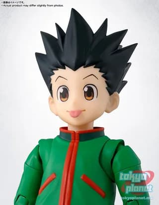 S.H.Figuarts GON
