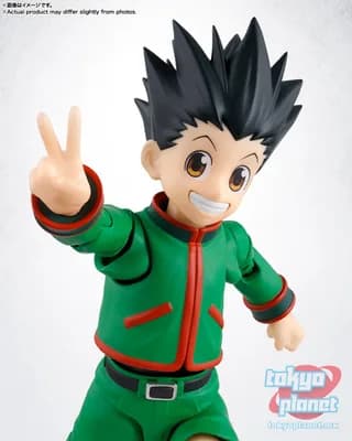 S.H.Figuarts GON