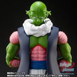 S.H.Figuarts Dragon Ball Z NAIL