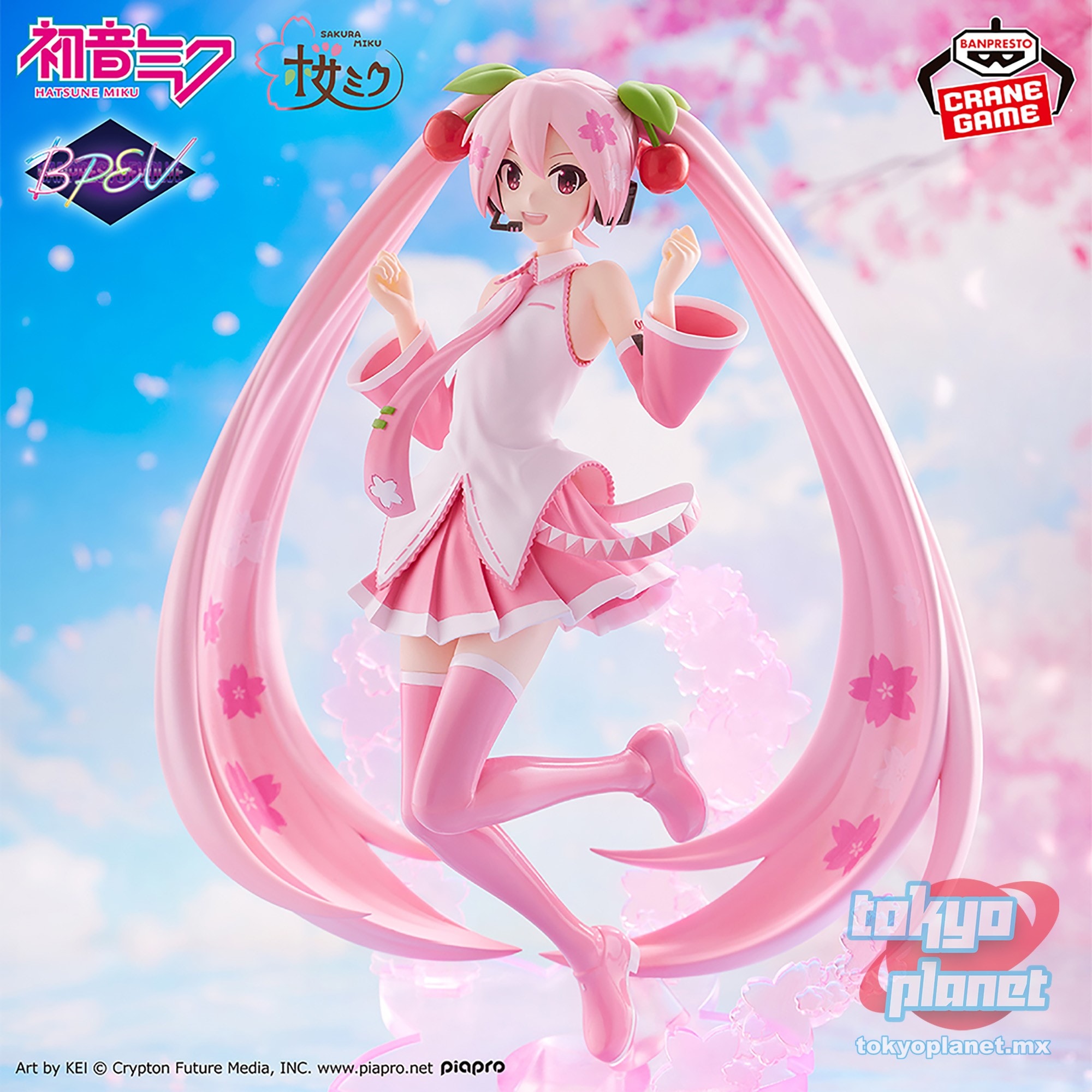 BANPRESTO EVOLVE SAKURA MIKU FIGURE
