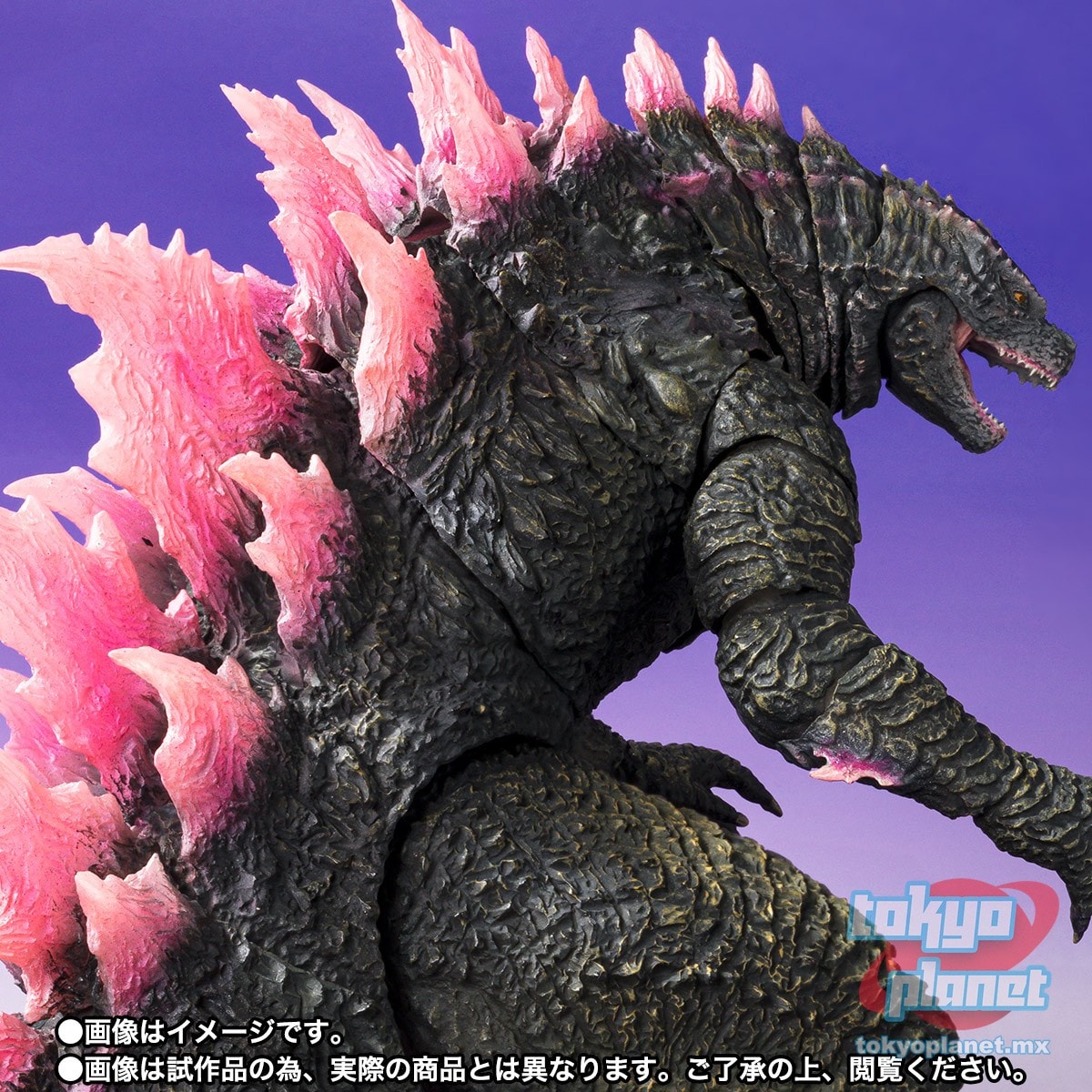 S.H.MonsterArts GODZILLA Evolved  FROM GODZILLA x KONG: THE NEW EMPIRE [2024]